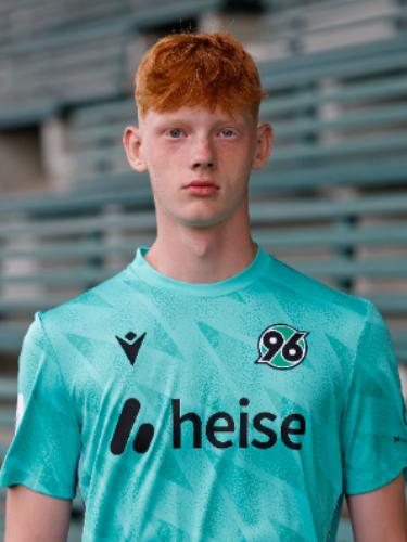 Jannis Johan Link