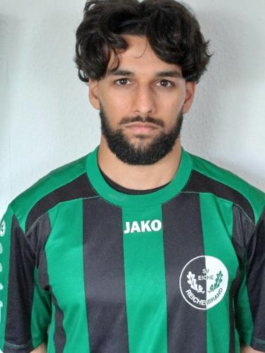 Arash Mashrafi