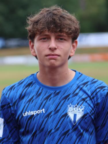 Tarik Delibajric