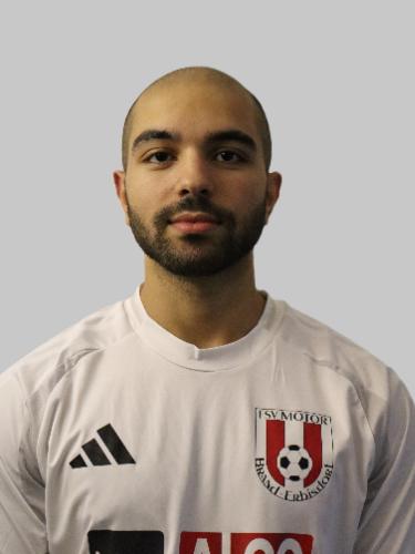 Ahmed Mohamed Atef Ezzeldin