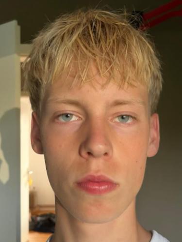 Lönne Arp