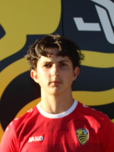 Michael-Nico Dinescu