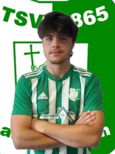 Willy Steiner