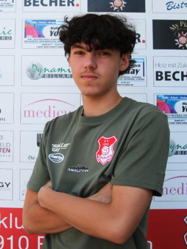 Dominik Goldman