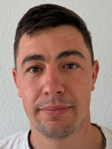 Ion Lupascu