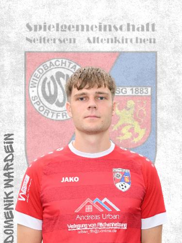 Domenik Wardein
