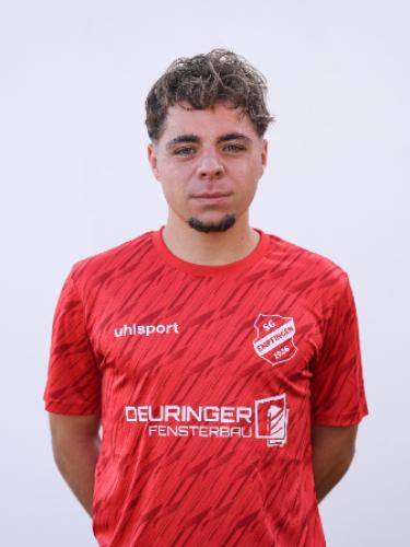 Nico Gulde