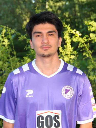 Amir Hossein Ehsani