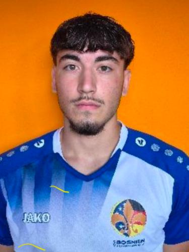 Anes Bajraktarevic