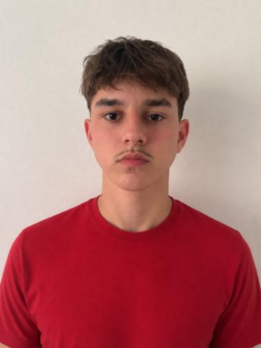 Erjan Sestic