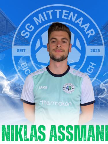 Niklas Assmann