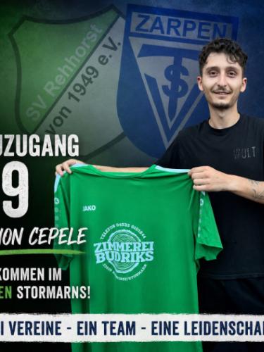 Ledion Cepele