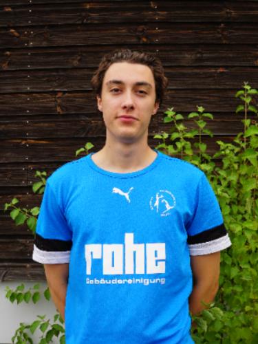 Moritz Josef Bernhard Rave