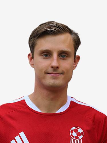 Dino Dzajic