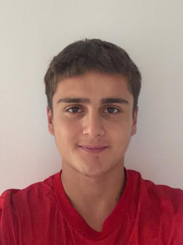 Tarkan Sevgili