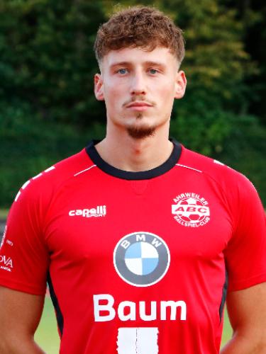 Din Alajbegovic