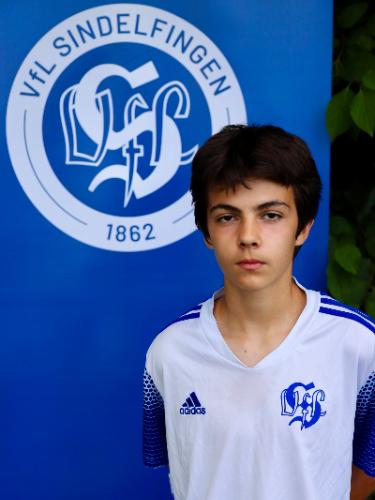 Sadin Sami-Oglou