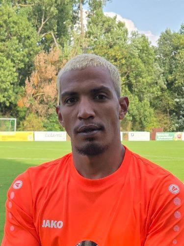 Mohamed Ahmed Ali Hefny