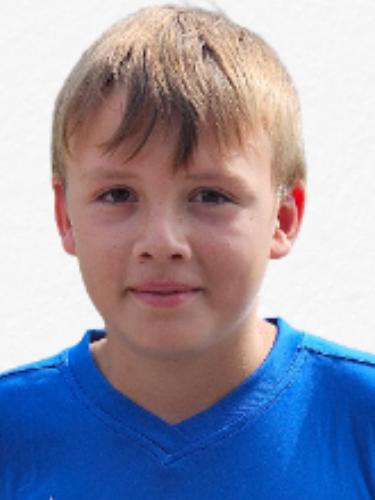 Levin Fuhrwerk