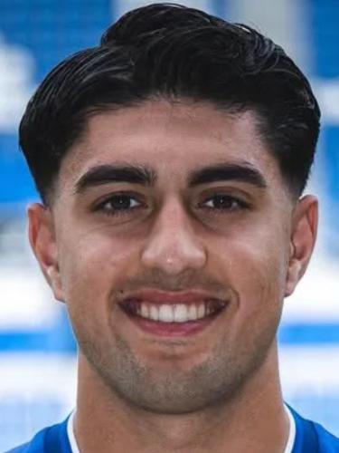Arel Demir