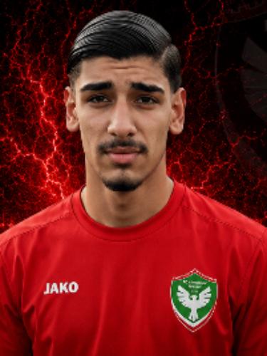 Zal Seckin