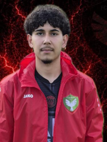 Ali Algül