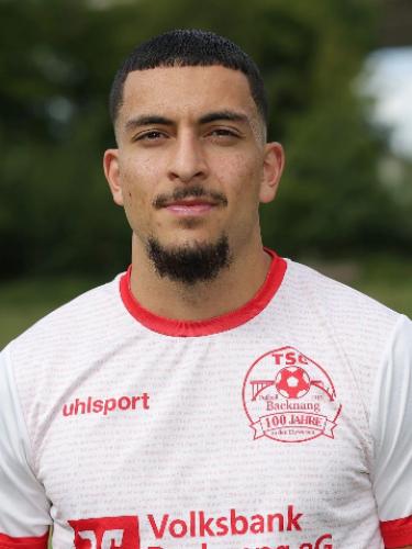 Arda Gürsel