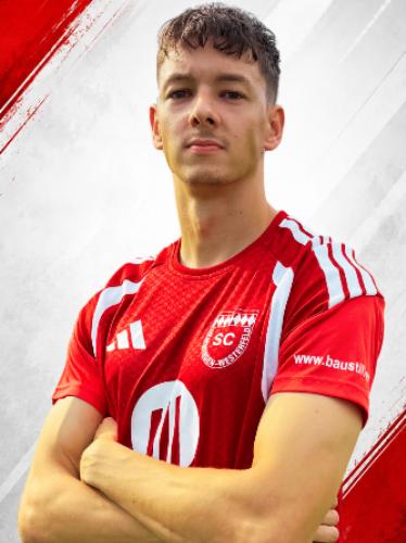 Alexander Druzhynin