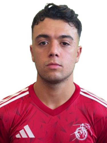 Milan Wahid Freisberg