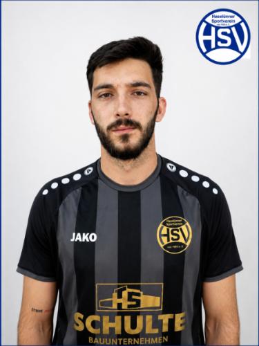 Raul-Gheorghe Stefaniga