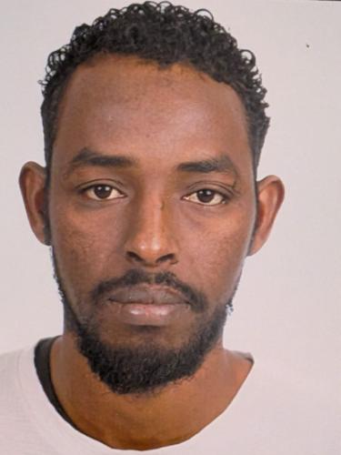 Muhiyadin Elmi Farah