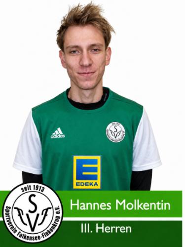 Hannes Molkentin
