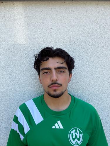Baran Celik