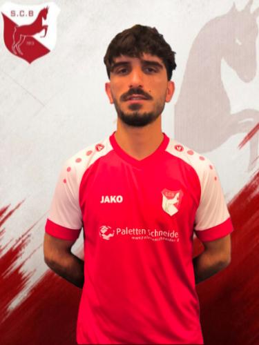 Veysel Yildiz