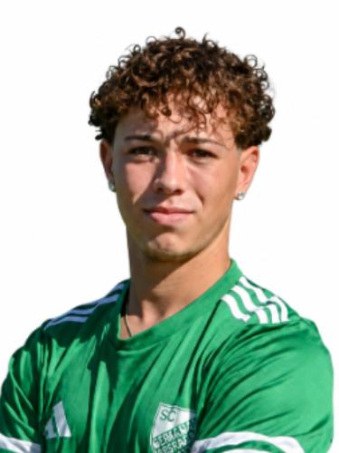 Gianluca Cserep