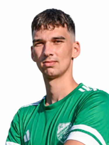 Luc-Colin Okicic