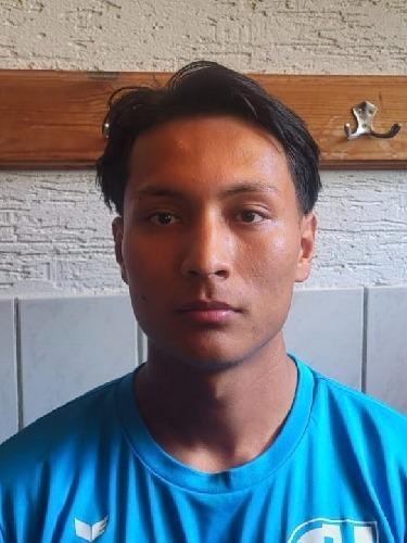 Ali Shafahi