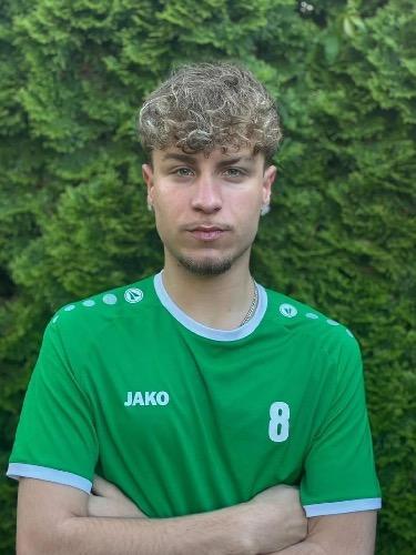 Mike Hanke