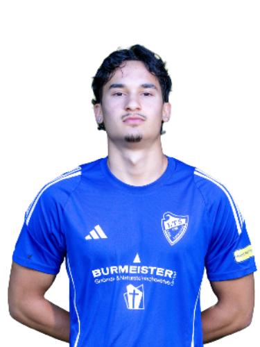 Tanin Azizi