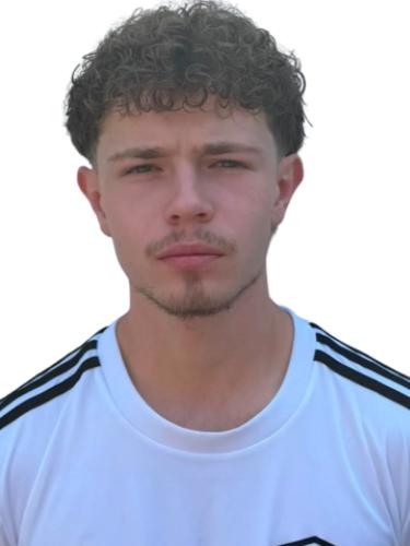 Jerome Marcus D Arrigo