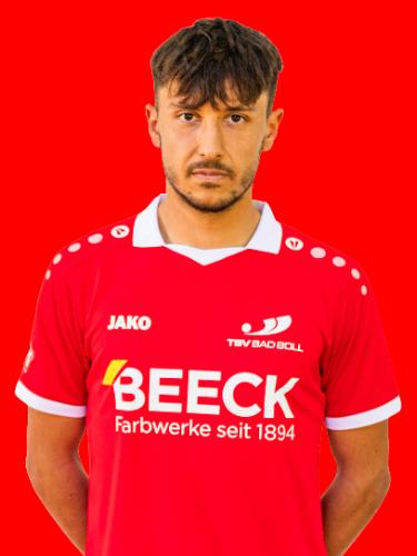 Fabio Malerba