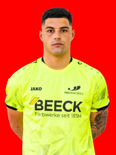 Lucca Telles-Villalobos