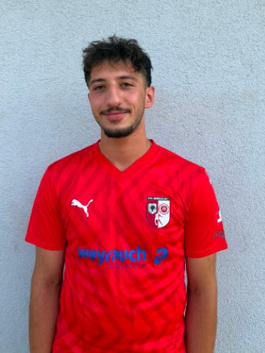 Amirhossein Saberizadehhamedani