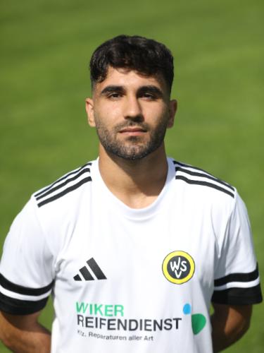 Sahand Hamed