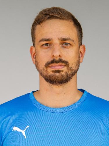 Damir Besirovic