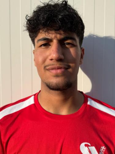 Hadi Alsamra