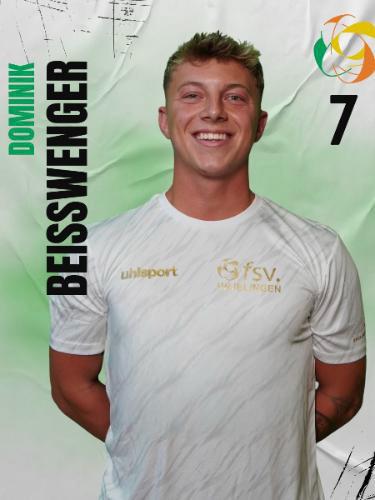 Dominik Beisswenger
