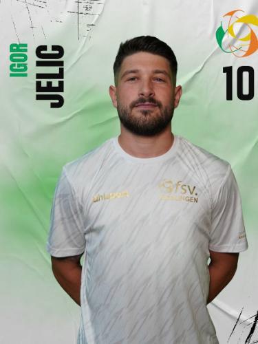Igor Jelic
