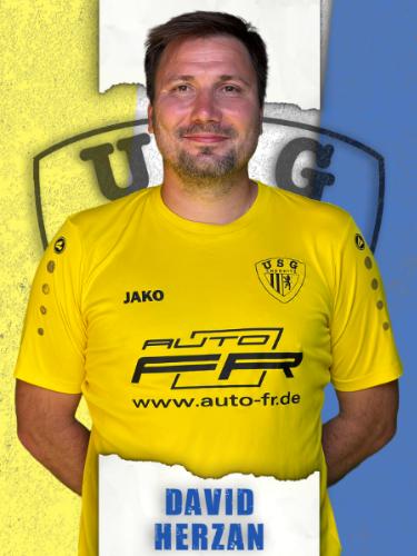 David Herzan