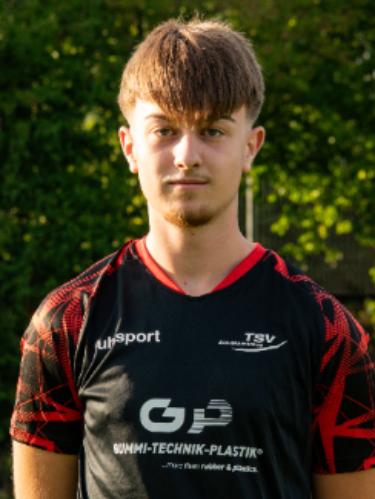 Luka Radicanin